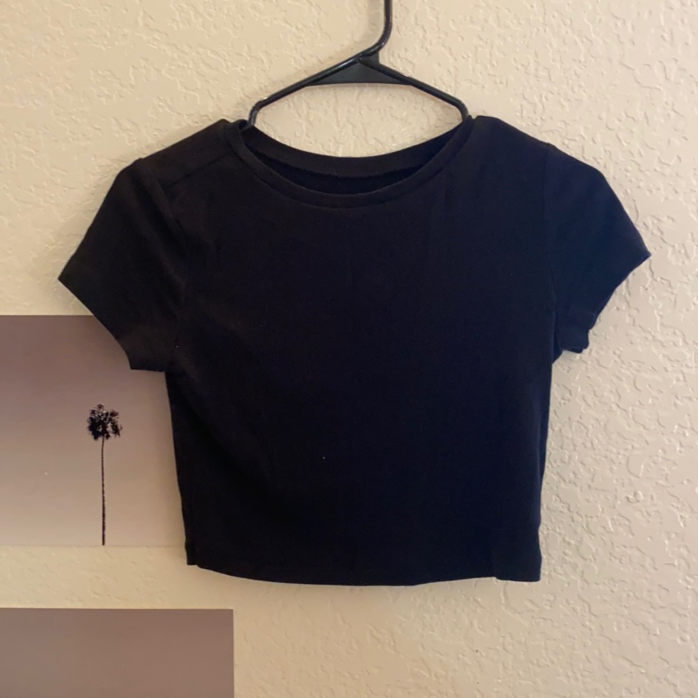 Wild & Fable Crop Top